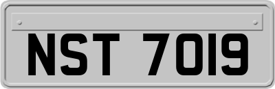 NST7019