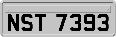 NST7393