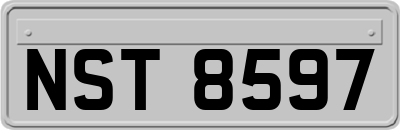 NST8597