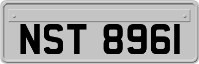 NST8961