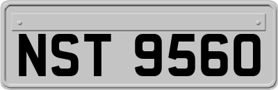 NST9560