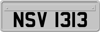 NSV1313
