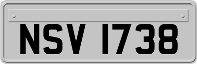 NSV1738
