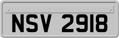NSV2918