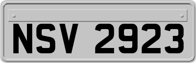 NSV2923