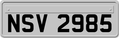 NSV2985