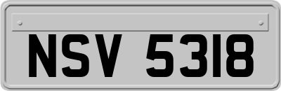 NSV5318