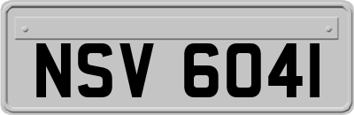 NSV6041