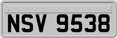 NSV9538