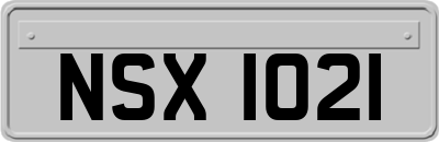NSX1021
