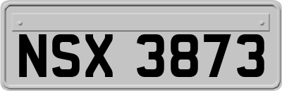 NSX3873