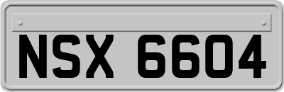 NSX6604