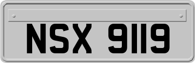 NSX9119