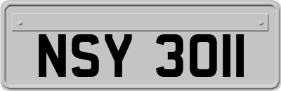 NSY3011