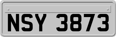 NSY3873