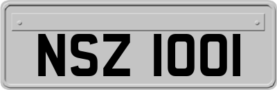 NSZ1001