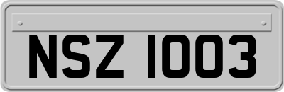 NSZ1003