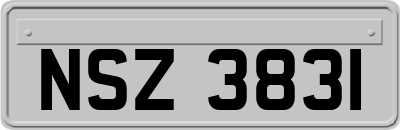 NSZ3831