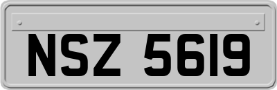 NSZ5619