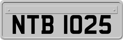 NTB1025