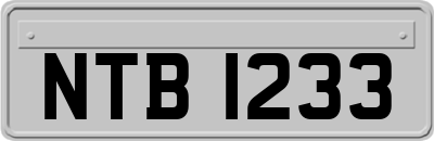 NTB1233