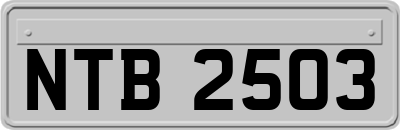 NTB2503