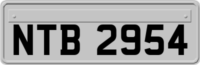 NTB2954
