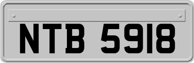 NTB5918