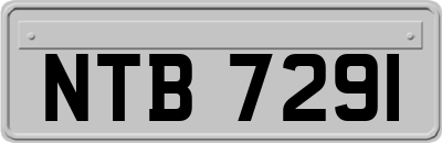 NTB7291