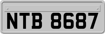 NTB8687