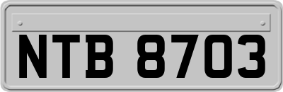 NTB8703