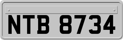 NTB8734
