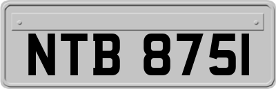 NTB8751