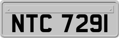 NTC7291