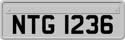 NTG1236