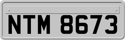 NTM8673