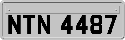NTN4487
