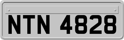 NTN4828