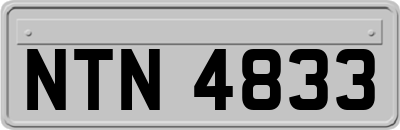 NTN4833