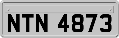 NTN4873