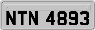NTN4893