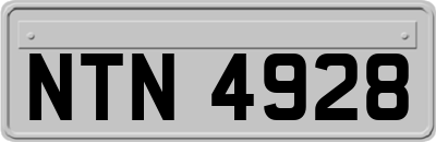 NTN4928