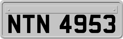 NTN4953