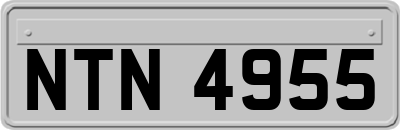 NTN4955