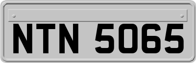 NTN5065