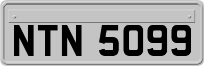 NTN5099