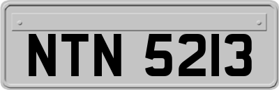 NTN5213