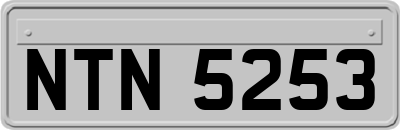 NTN5253