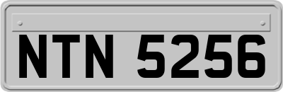 NTN5256