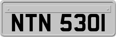 NTN5301